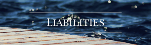 What are Liabilities