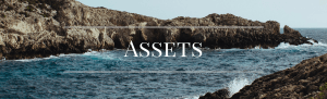 What are my assets
