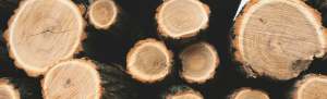 Costing Inventory