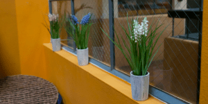 Yoga Studio Bookkeeping Service