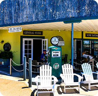 Lost-Olivos-square-small