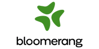 Bloomerang logo