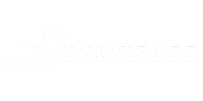 Bruce Lee