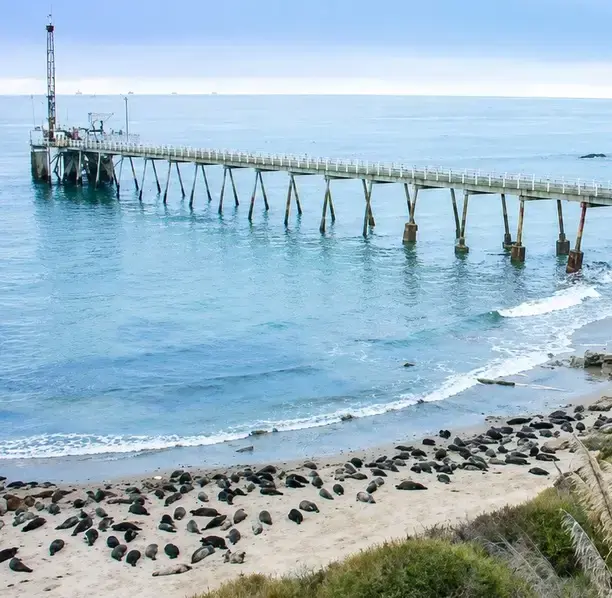 Carpinteria coastline and pier, reflecting the growing businesses supported by our outsourced accounting.
