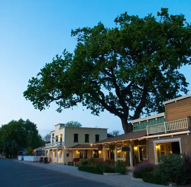 Historic Los Olivos street with oak tree representing local organizations using financial management support