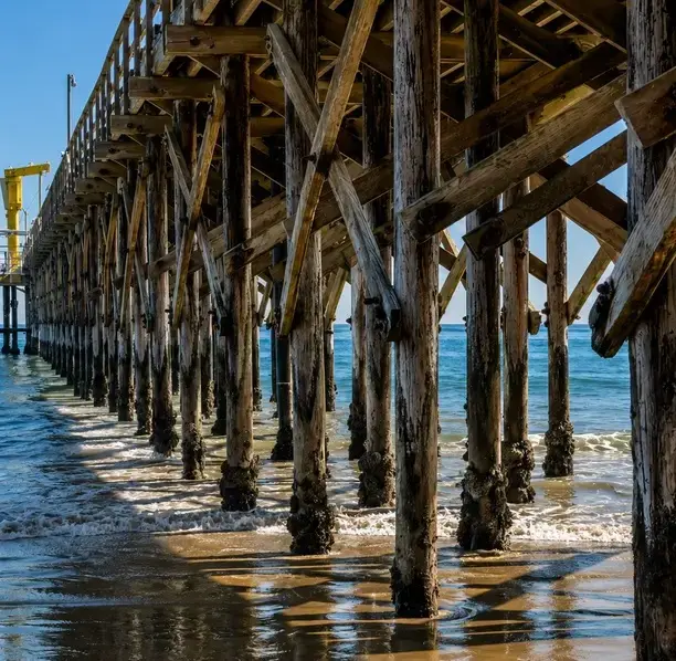 Wooden pilings beneath Goleta Pier, symbolizing the strong foundation of our reliable bookkeeping.